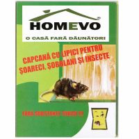 Capcana Soareci cu Lipici pe Carton HOMEVO